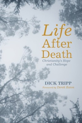 Life After Death: Christianity's Hope and Challenge - eBook  -     By: Dick Tripp
