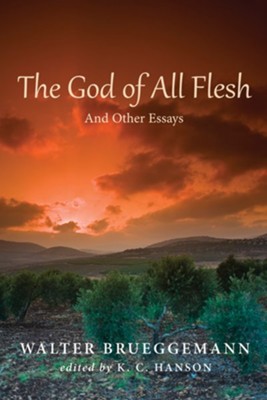 The God of All Flesh: And Other Essays - eBook  -     Edited By: K.C. Hanson
    By: Walter Brueggemann
