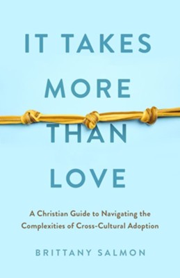 It Takes More than Love: A Christian Guide to Navigating the ...