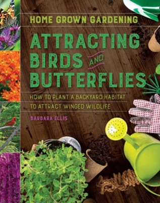 Attracting Birds And Butterflies - eBook  -     By: Barbara Ellis
