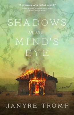 Shadows in the Mind's Eye - eBook  -     By: Janyre Tromp
