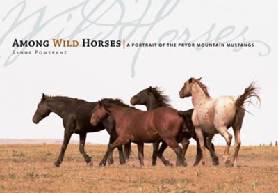 Among Wild Horses: A Portrait of the Pryor Mountain Mustangs - eBook  -     By: Lynne Pomeranz
