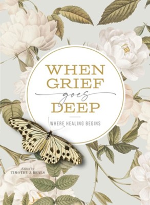 When Grief Goes Deep: Where Healing Begins - eBook  -     By: Timothy Beals
