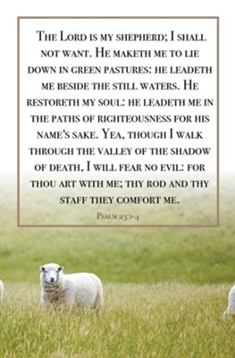 psalm 23 kjv
