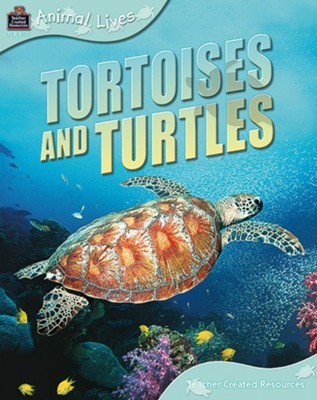 Animal Lives: Tortoises and Turtles  - 