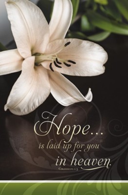 Hope is Laid up for You in Heaven (Col 1:5, KJV) Bulletins, 100 ...