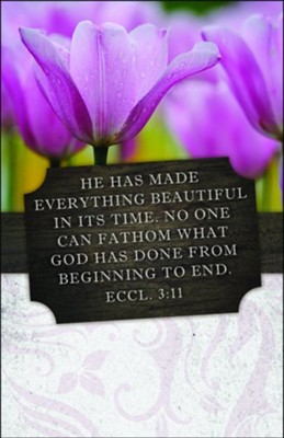 Everything Beautiful (Ecclesiastes 3:11, NIV) Bulletins, 100: ...