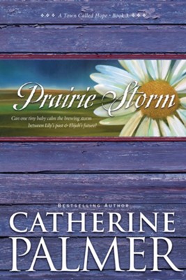 Prairie Storm - eBook  -     By: Catherine Palmer
