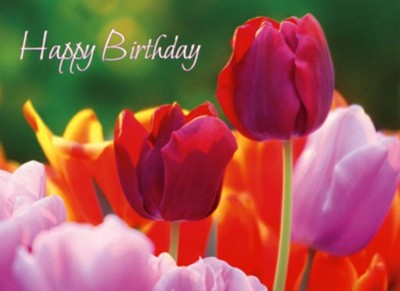 Beautiful Flowers Birthday Cards, Box of 12  - 