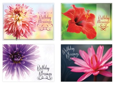 Birthday Spring Beauty, Box of 12 cards  - 