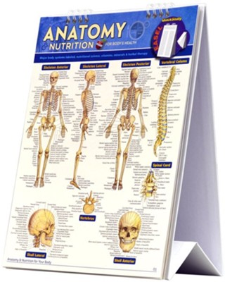 Anatomy & Nutritional Easel  -     By: Vincent Perez, Lucille Beseler
