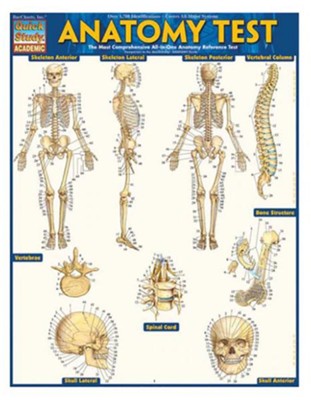 Anatomy Test, Laminated Guide  -     By: Vincent Perez
