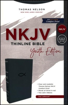 NKJV, Thinline Bible Youth Edition, Leathersoft, Gray, Comfort Print ...