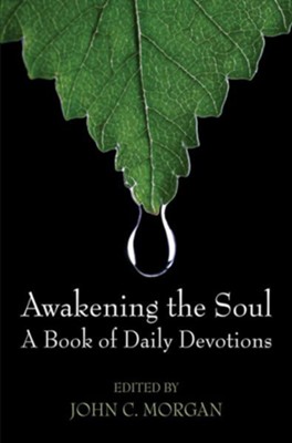 Awakening the Soul  -     By: John C. Morgan
