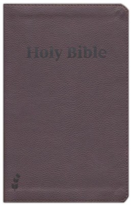 ERV Holy Bible--soft leather-look, russet: 9781628267877 ...