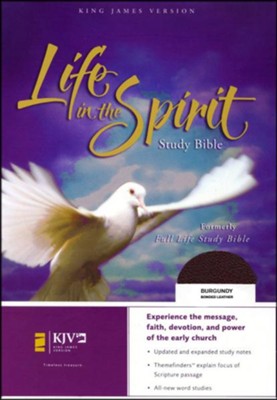 KJV Life in the Spirit Study Bible, Bonded Leather, Burgundy (Previously titled The Full Life Study Bible)  -     By: Bible
