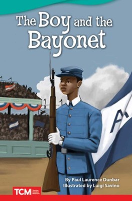 homework answer questions the boy and the bayonet part 1