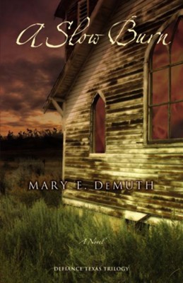 A Slow Burn: A Novel - eBook  -     By: Mary E. DeMuth
