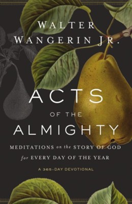 Acts of the Almighty: Meditations on the Story of God for Every Day of the Year  -     By: Walter Wangerin Jr.
