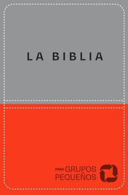 Biblia para grupos peque&#241os NBV lujo (Bible for Small Groups NBV Deluxe)  -     By: Alex Sampedro
