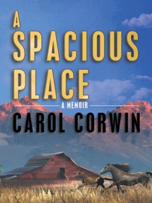 A Spacious Place - eBook  -     By: Carol Corwin
