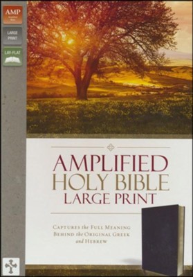 Amplified Large-Print Bible--bonded leather, burgundy  - 