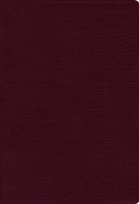 NASB 1995 Large-Print Thinline Bible, Comfort Print--bonded leather, burgundy (indexed)  - 