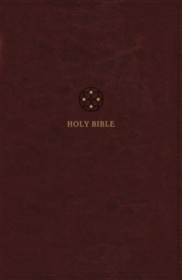 NRSVue, Holy Bible, Leathersoft, Burgundy, Comfort Print: 9780310461449 ...