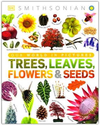Trees, Leaves, Flowers and Seeds: A Visual Encyclopedia of the Plant Kingdom  -     By: Dr. Sarah Jose, Consultant Dr. Chris Clennett, Contributions By Smithsonian Institution
