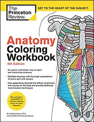 Anatomy Coloring Workbook, Fourth Edition   -     By: I. Edward Alcamo Ph.D., The Staff of the Princeton Review
