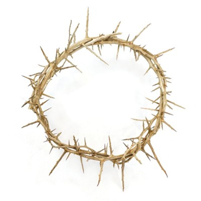 Crown of Thorns, 9 diameter, Jerusalem - Christianbook.com