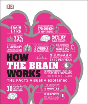 How the Brain Works: The Facts Visually Explained  -     By: DK

