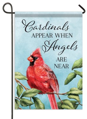 Cardinals Activity Book (Paperback) 