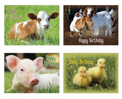 Birthday Baby Animals, Box of 12 cards  - 