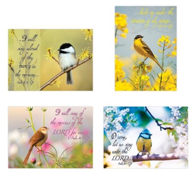 Birthday Songbirds, Box of 12 cards  - 