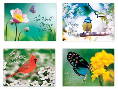 Birds and Butterflies Get Well Cards, Box of 12  - 