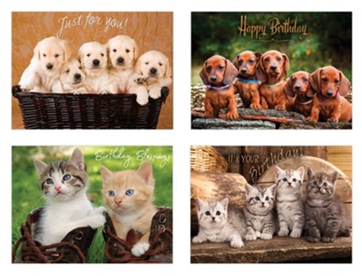 Birthday Furry Wishes , Box of 12 cards  - 