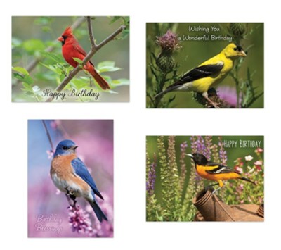 Backyard Birds Birthday Cards, Box of 12 (KJV)  - 