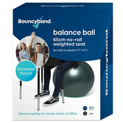 65cm Balance Ball No-Roll Weighted Seat (Gray)   - 