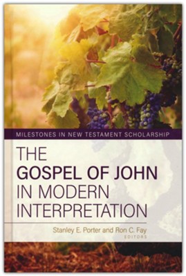 Gospel of John in Modern Interpretation  -     By: Stanley E. Porter
