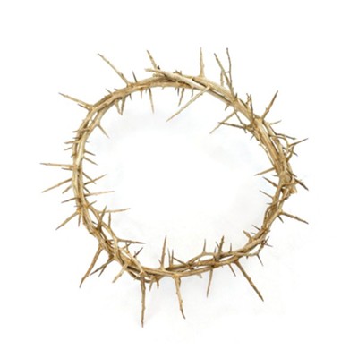 Crown of Thorns from Jerusalem - Christianbook.com