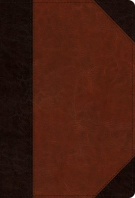 ESV Student Study Bible--soft leather-look, brown/cordovan with portfolio design  - 