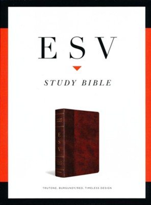 ESV Study Bible--soft leather-look, burgundy/red with timeless design (indexed)  - 