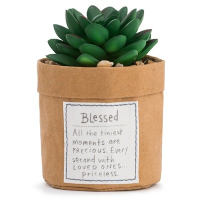 Blessed Plant Kindness Succulent   -     By: Lori Siebert
