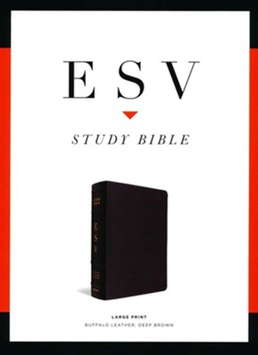 ESV Study Bible, Large Print (Buffalo Leather, Deep Brown)  - 