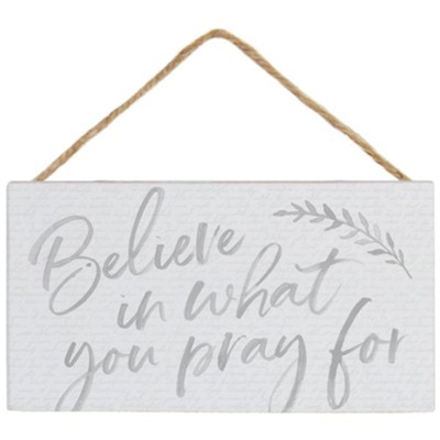 Believe In What Hanging Sign  - 