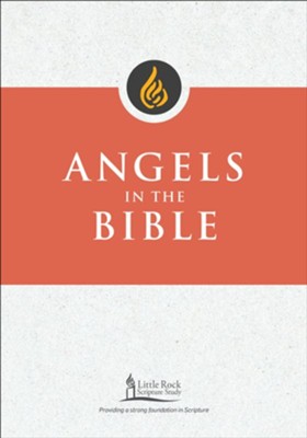 Angels in the Bible  -     By: George M. Smiga
