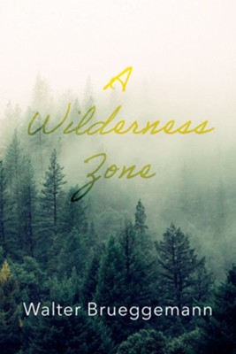 A Wilderness Zone  -     By: Walter Brueggemann
