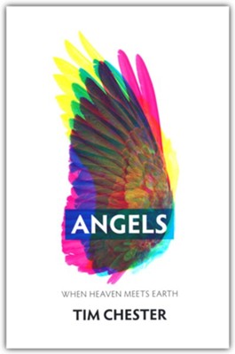 Angels: When Heaven Meets Earth  -     By: Tim Chester
