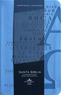 Biblia RVR 1960 letra grande tama&#241o manual, simil piel gris con nombres de Dios (Large Print Handy Size Bible, Leathersoft Grey with the Names of God)  - 